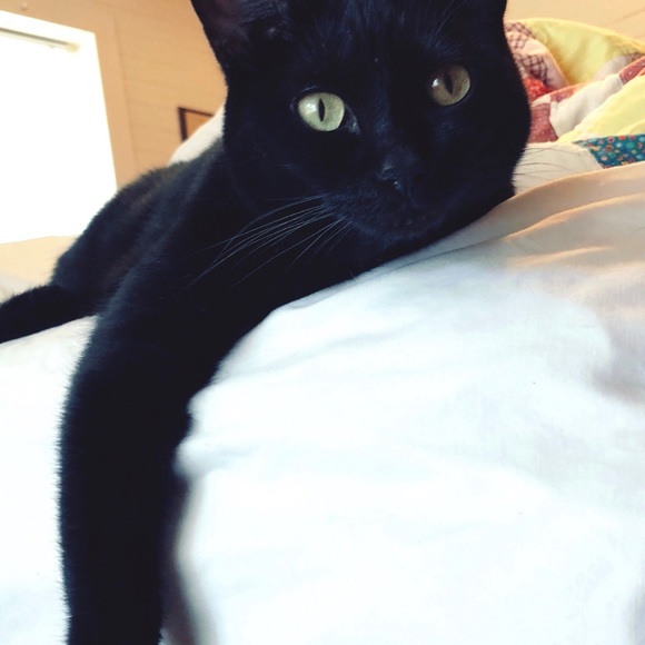 MEET YOUR POSHER - Picture 3 of 6